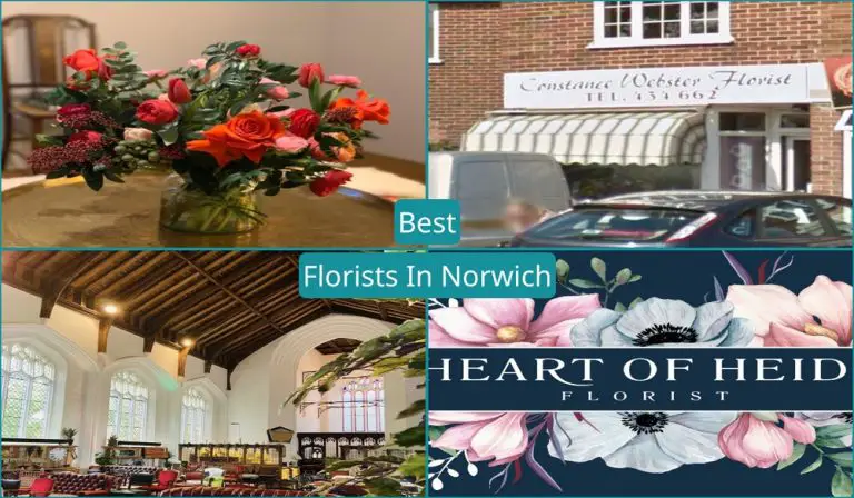 Best Florists In Norwich