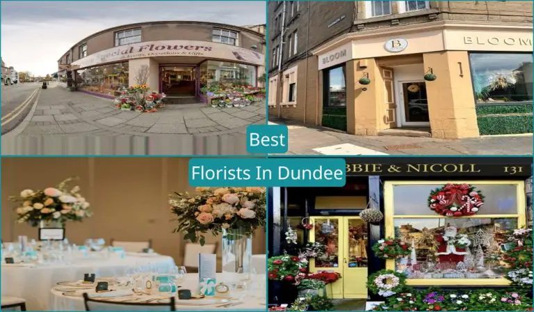 Best Florists In Dundee