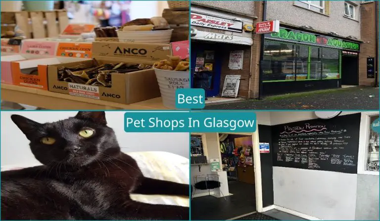 Best Pet Shops In Glasgow