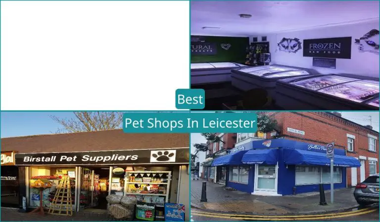 Best Pet Shops In Leicester